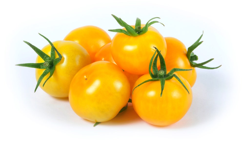 Cherrytomater, Gule Belgia / Spania