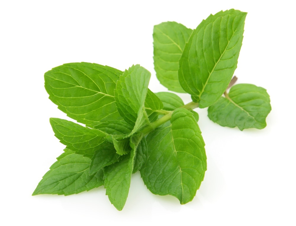 Fersk Mynte i Pose, Etiopia