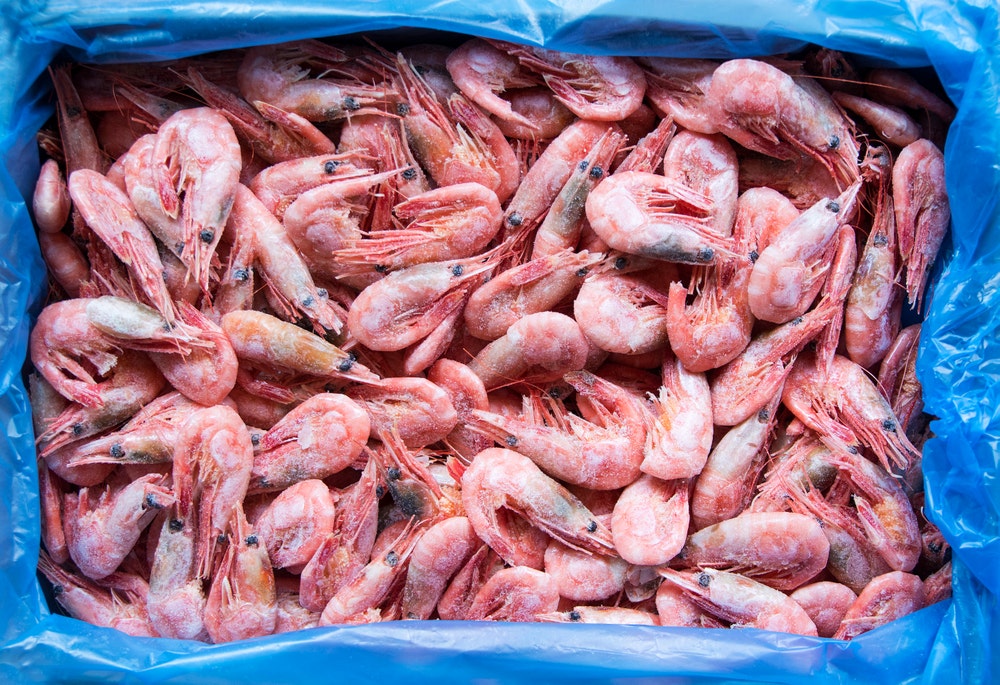 Greenland Prawn Store Frosne Reker Str 70/90