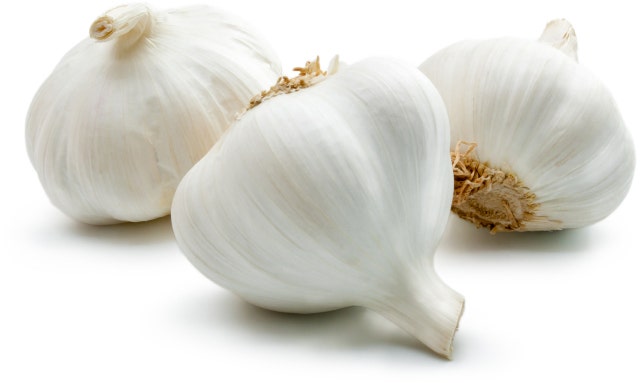 Hvitløk