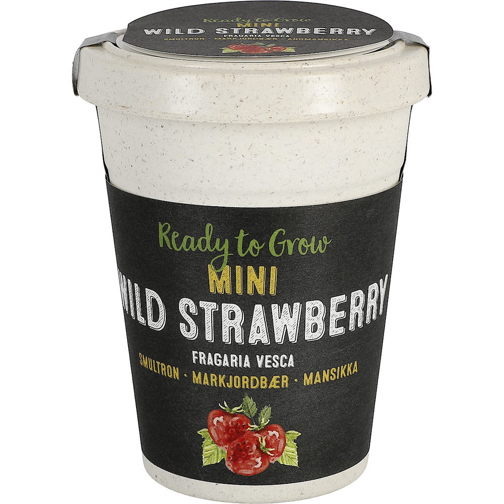 Clas Ohlson Frø i potte, markjordbær i nedbrytbar krukke
