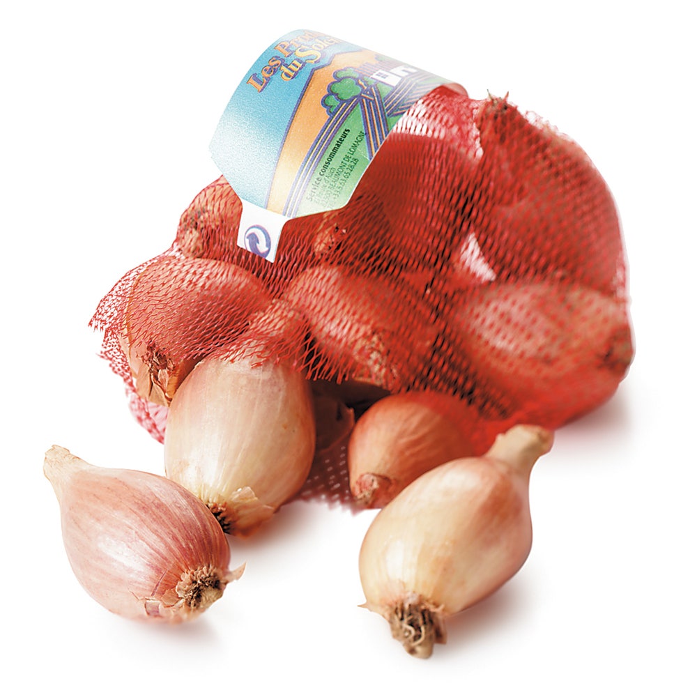 Sjalottløk I nett, Nederland