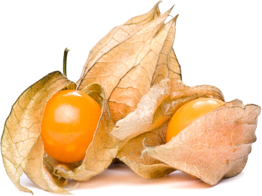 Physalis Kurv Colombia