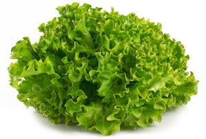 Lollosalat Grønn Norge