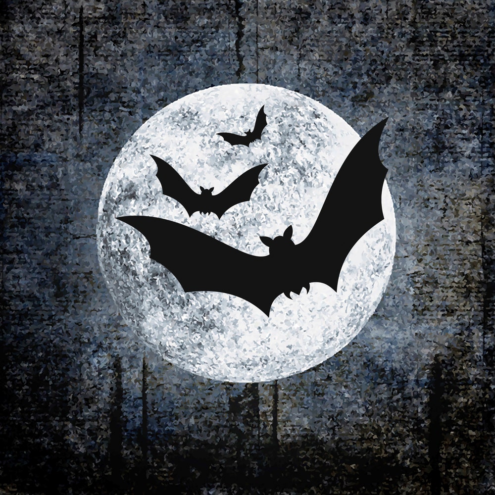 Duni Servietter Halloween Moon And Bats 3 lag, 33x33cm