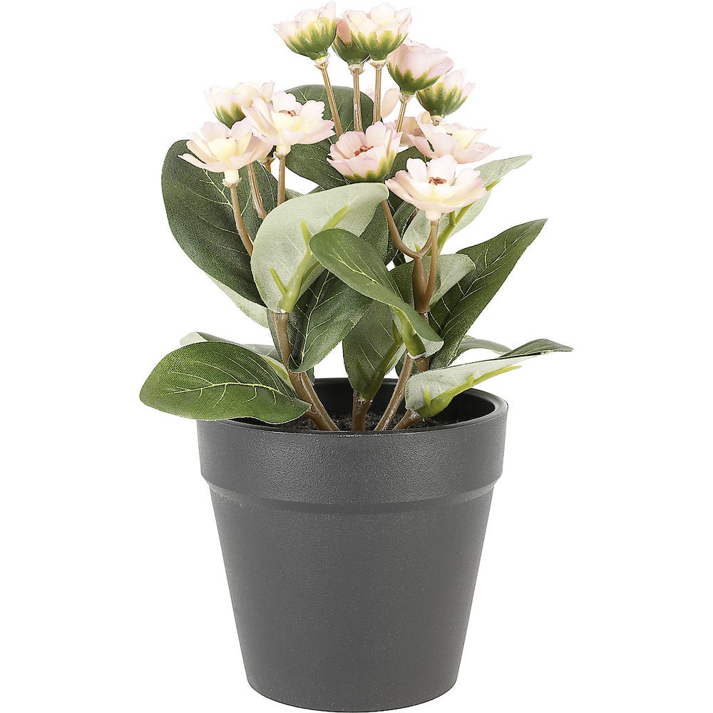 Clas Ohlson Naturtro miniplante med rosa blomst