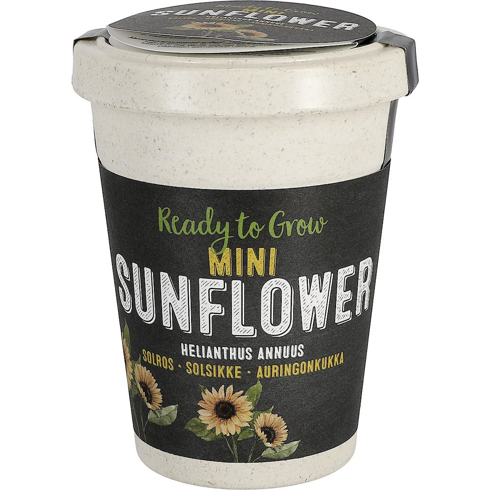 Clas Ohlson Solsikkefrø i nedbrytbar krukke