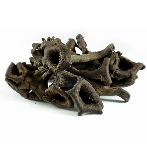 Trompetsopp Sort Sverige