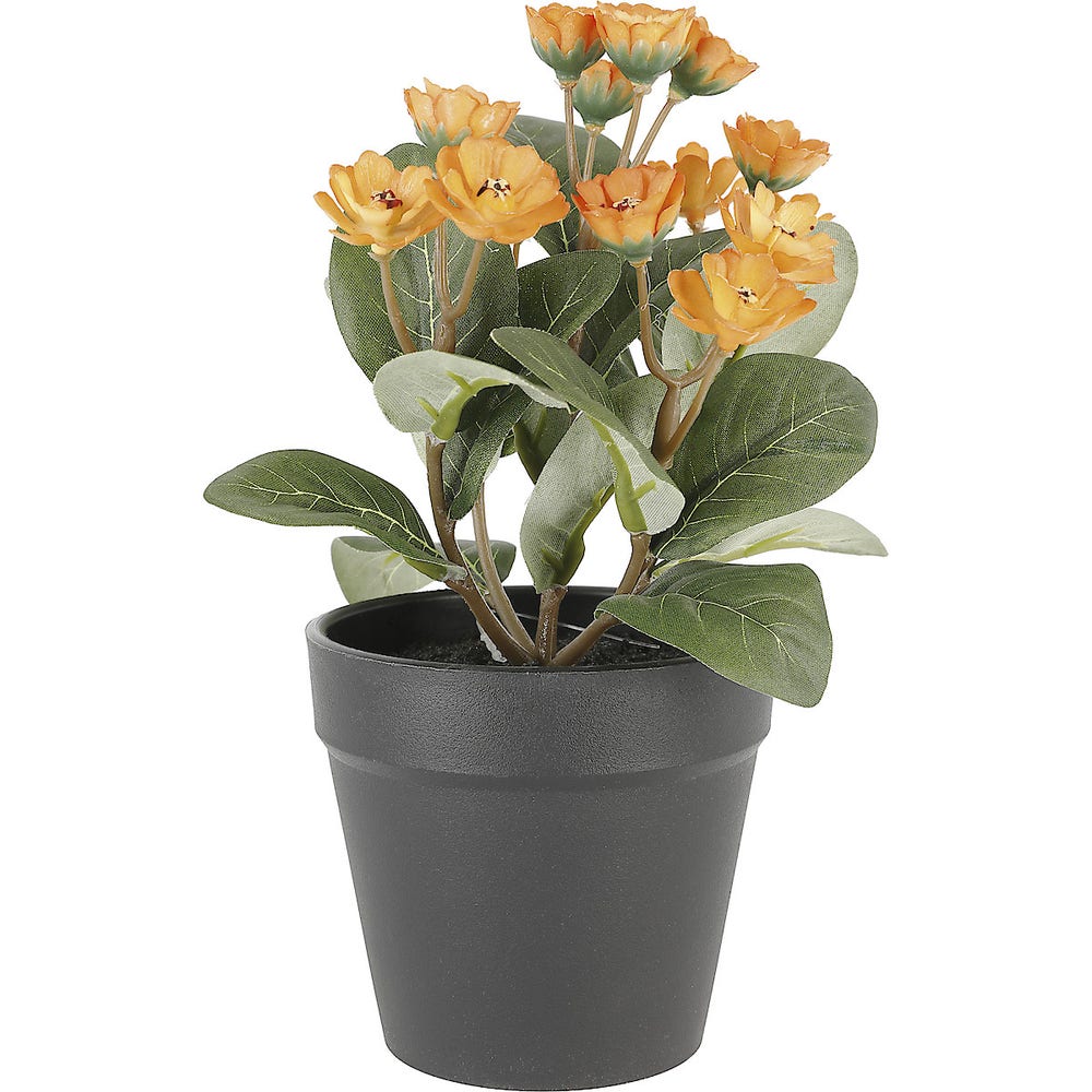 Clas Ohlson Naturtro miniplante med orange blomst